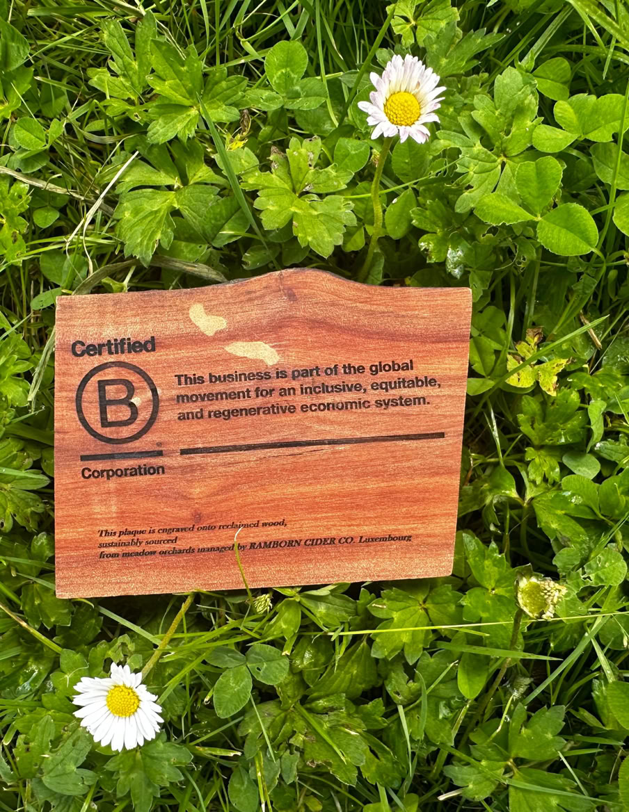 Poster met het logo van een gecertificeerde B Corporation aan de muur in een moderne ruimte met ramen en meubels.