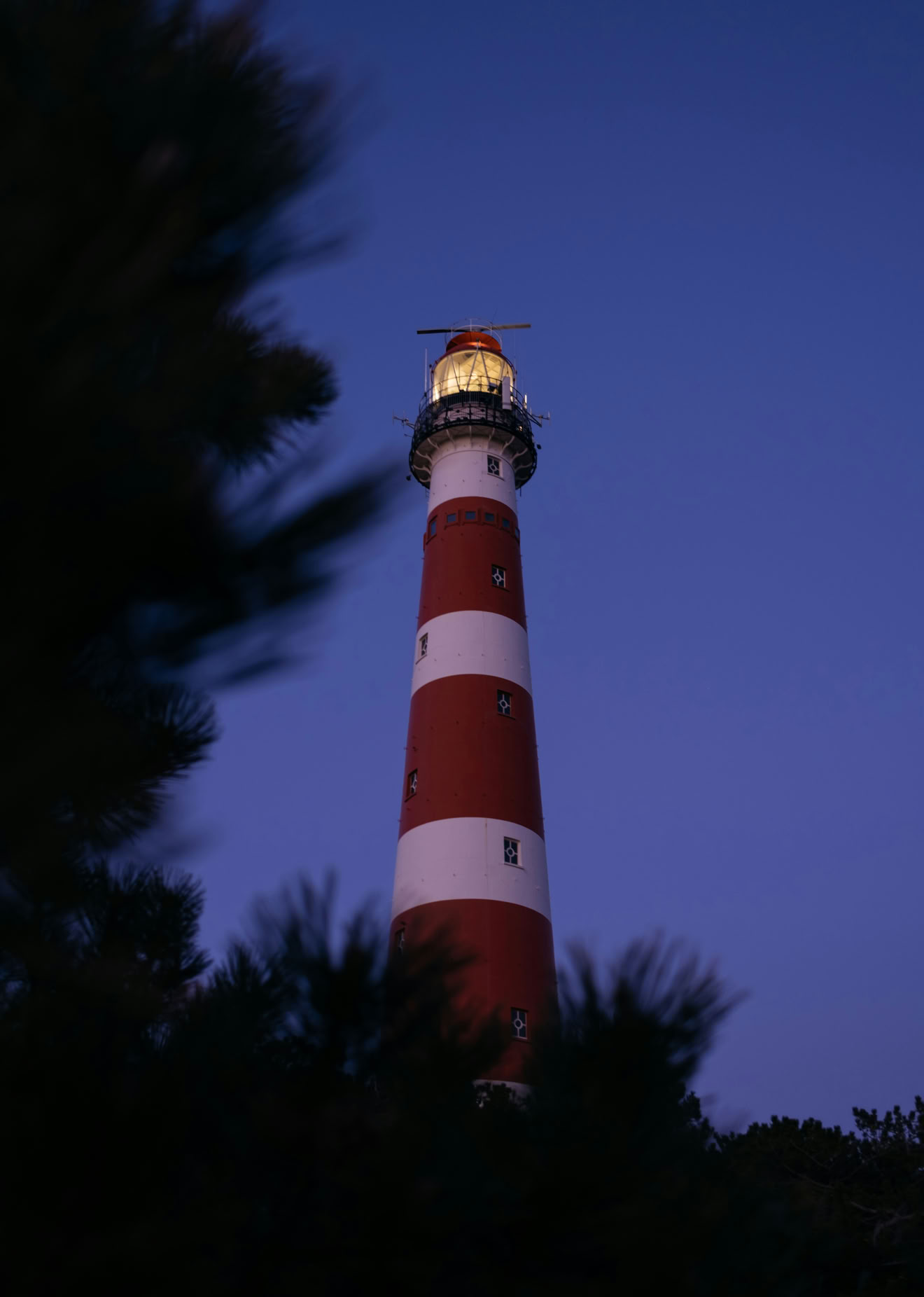 Two professionals discussing work in a modern office with a green wall feature.